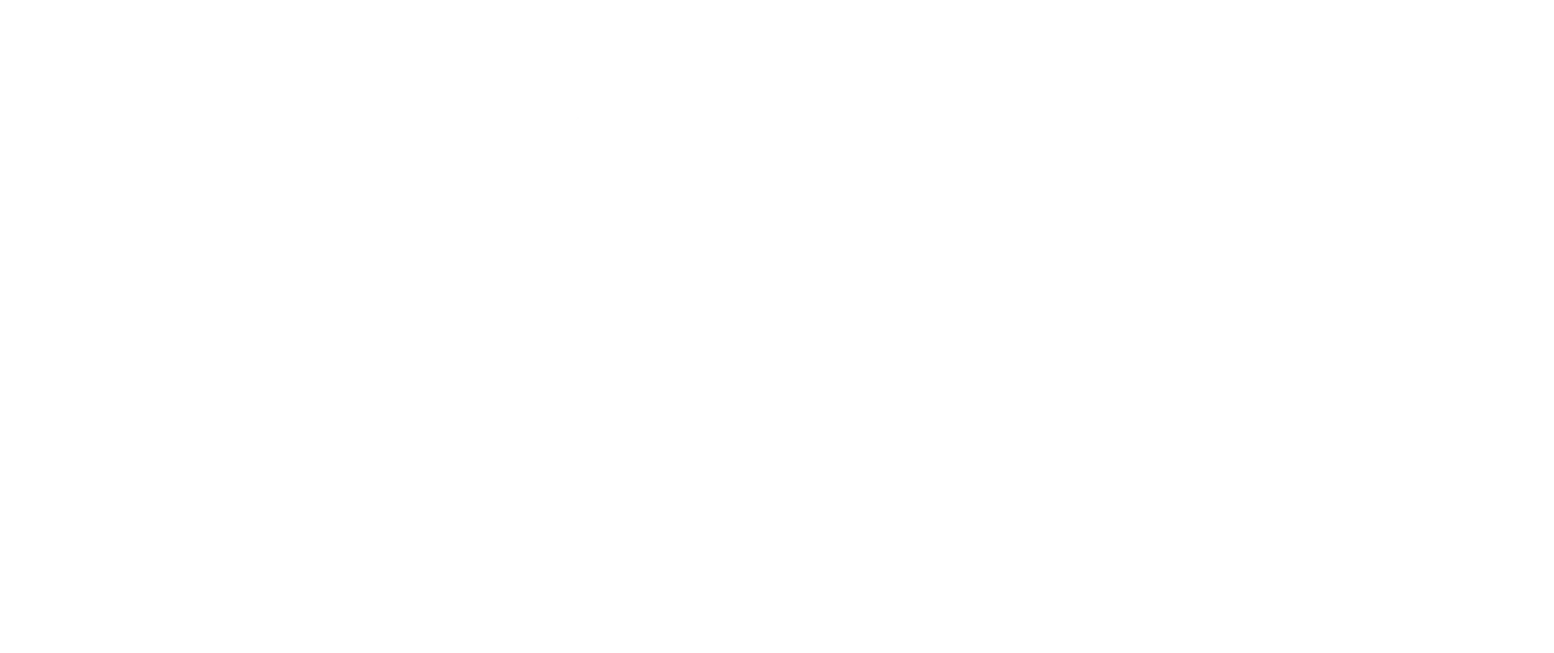 Feit electric logo